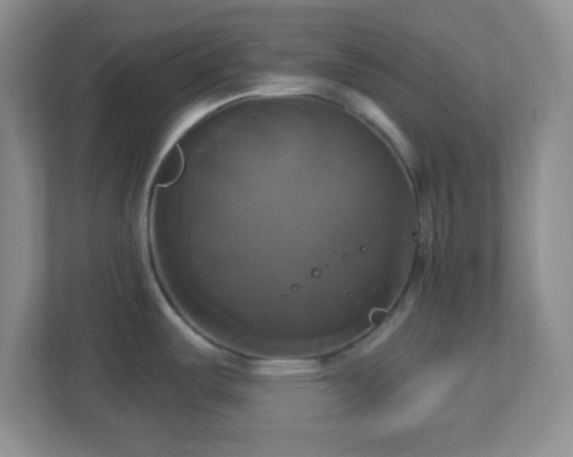 X0000113051487200909031322