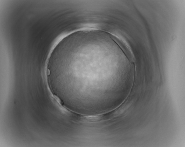 X0000113051488200909031322