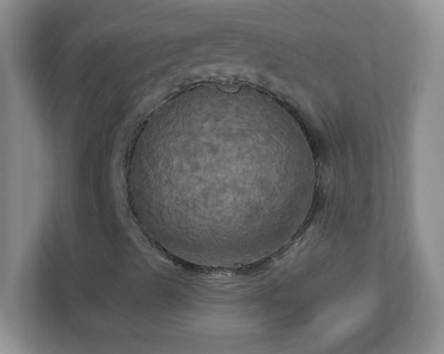 X0000113051489200909031321