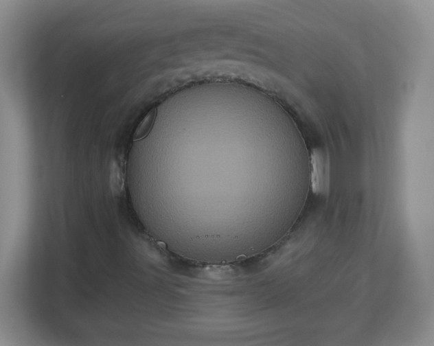 X0000113051491200909031321