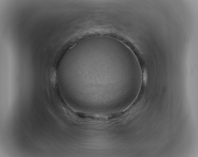 X0000113051492200909031321