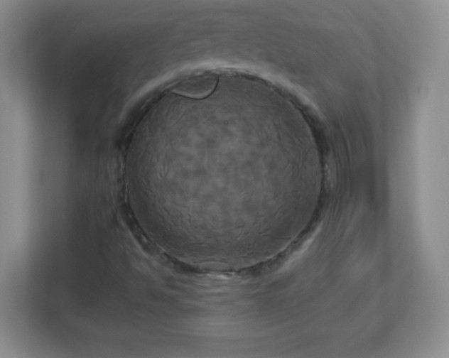 X0000113051494200909031321