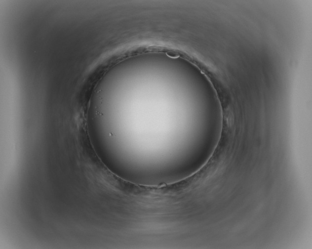 X0000113051495200909031321