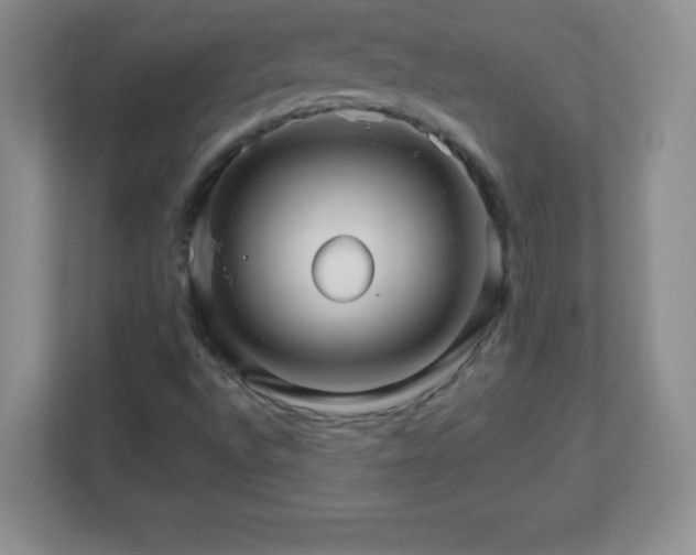 X0000113051496200909031321