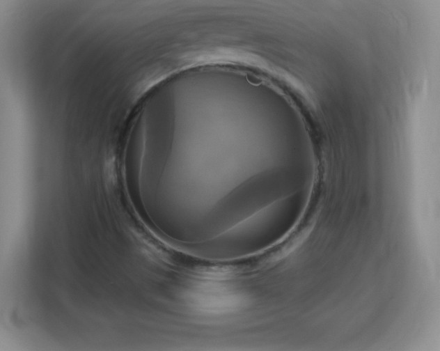 X0000113051497200909031321