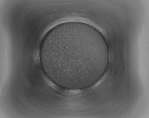 X0000113051498200909031321