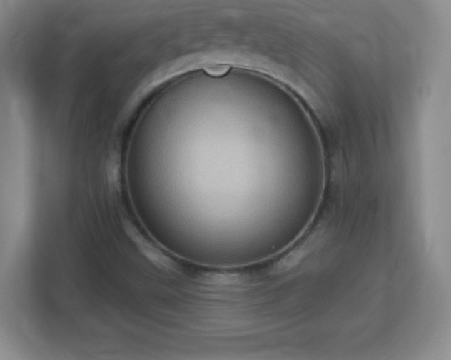 X0000113051499200909031321