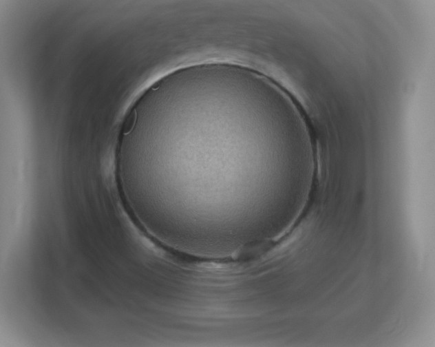 X0000113051500200909031321