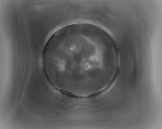 X0000113051501200909031321