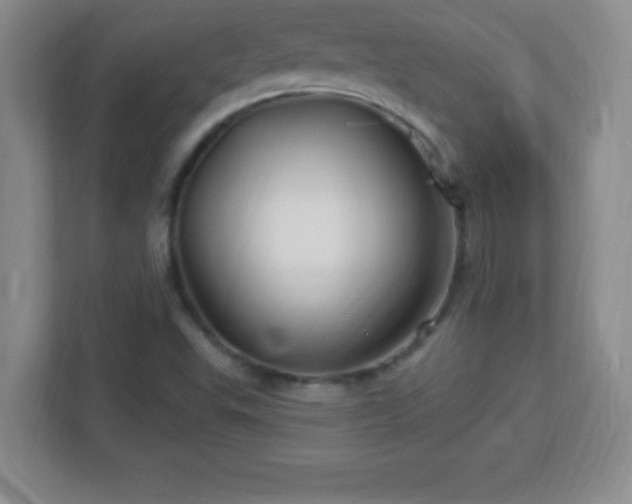 X0000113051503200909031321