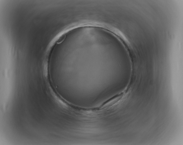 X0000113051504200909031321