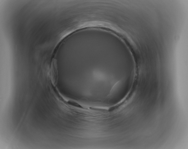 X0000113051505200909031321