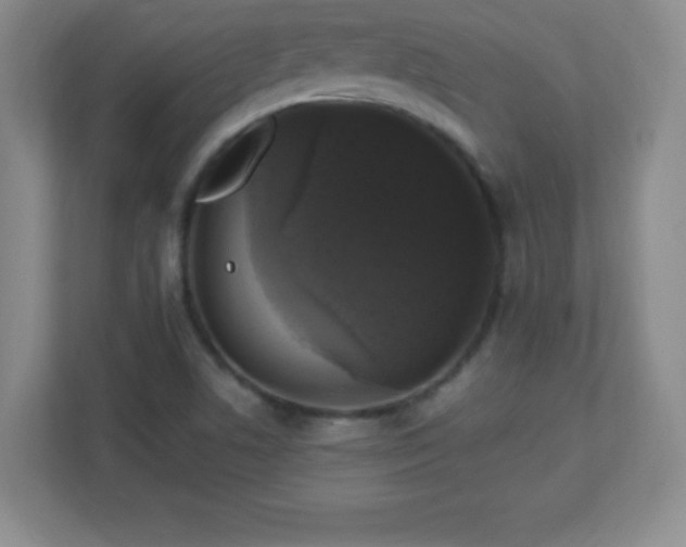 X0000113051506200909031321