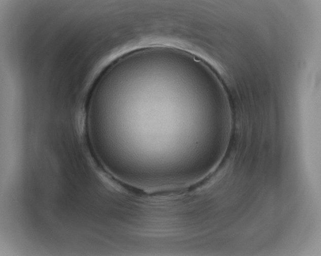 X0000113051507200909031321