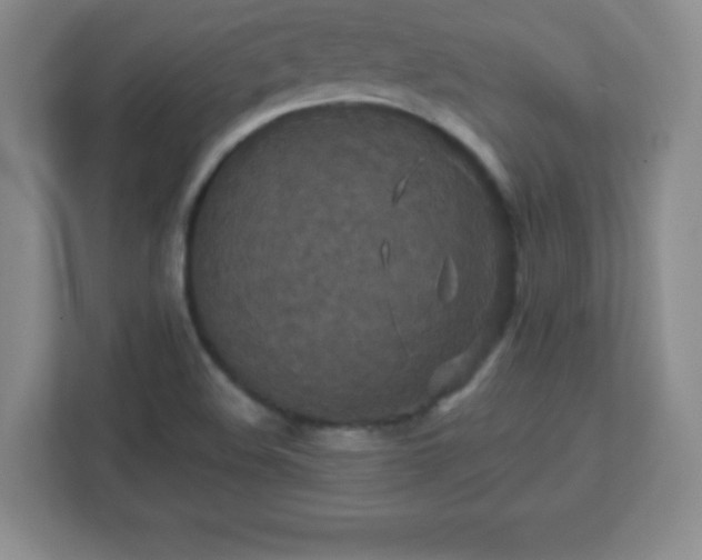 X0000113051508200909031321