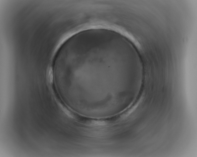 X0000113051509200909031321