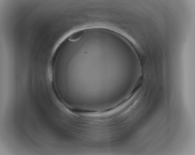 X0000113051510200909031321