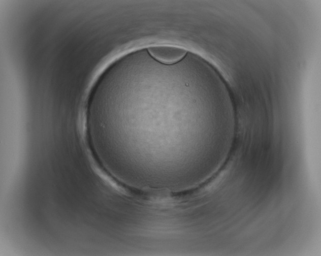 X0000113051511200909031321