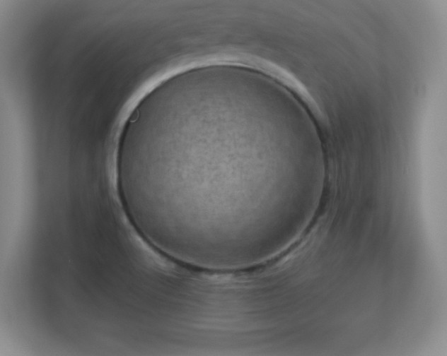 X0000113051512200909031321