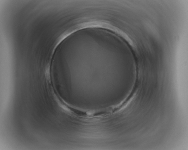 X0000113051513200909031321