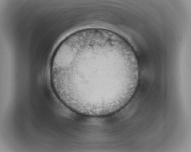 X0000113051514200909031321