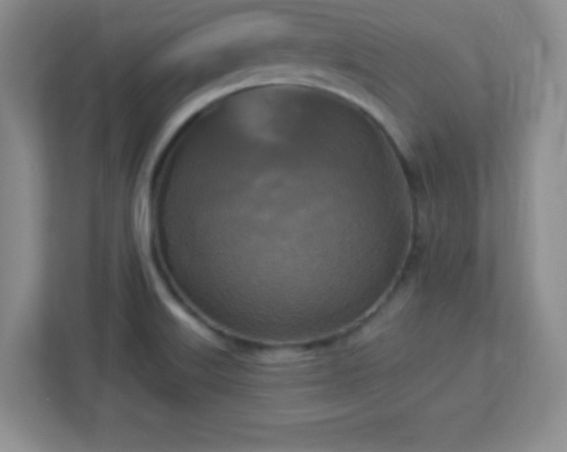 X0000113051515200909031321