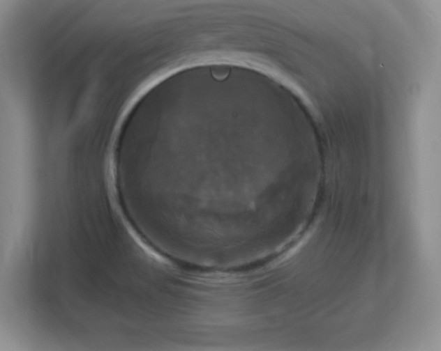 X0000113051517200909031321