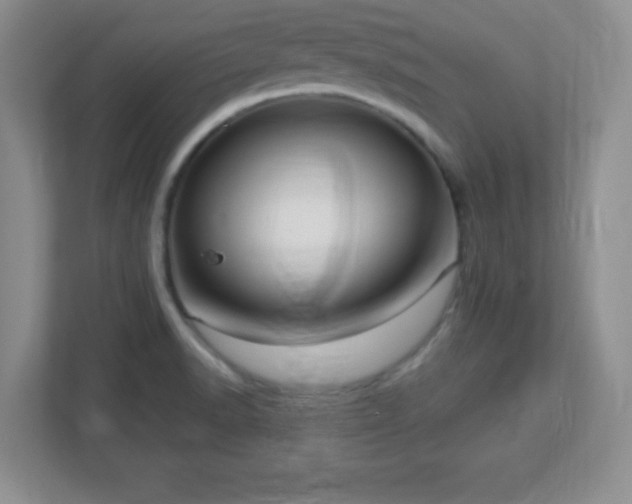 X0000113051518200909031321