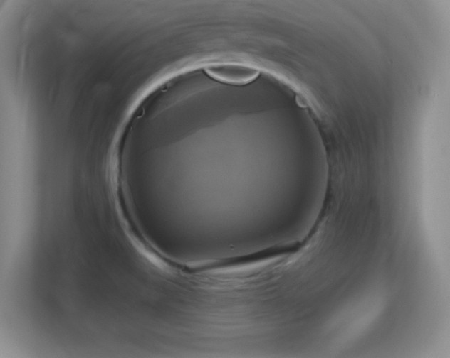 X0000113051519200909031321