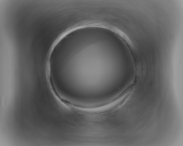 X0000113051520200909031321