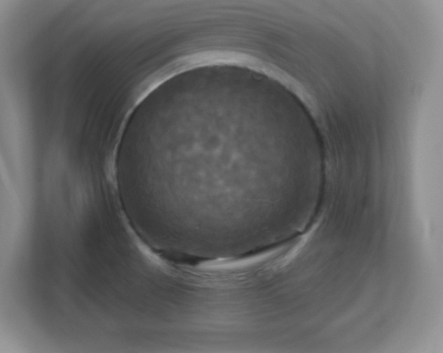 X0000113051521200909031321