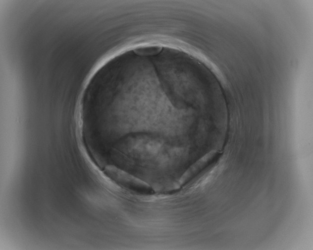 X0000113051522200909031321