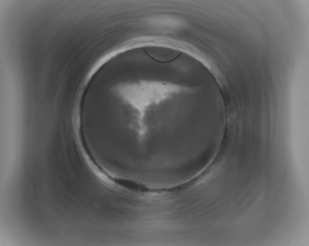 X0000113051523200909031322