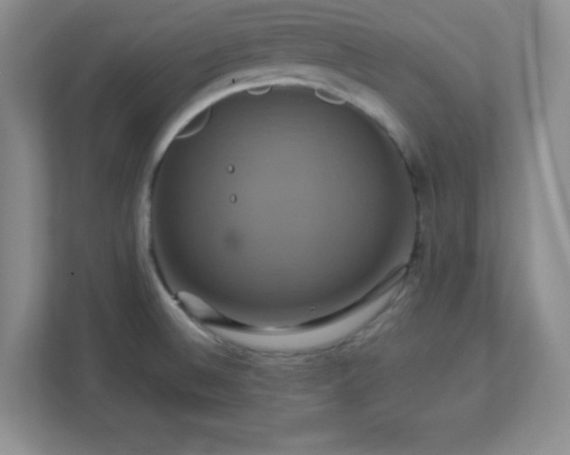 X0000113051524200909031322