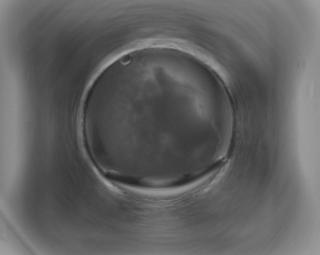 X0000113051525200909031322