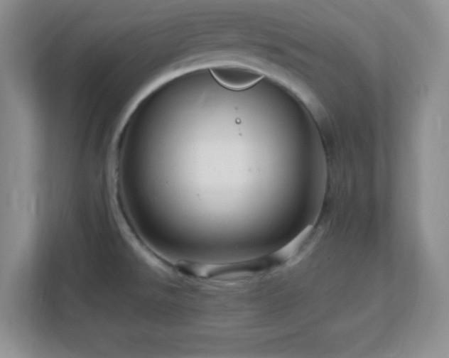 X0000113051526200909031322