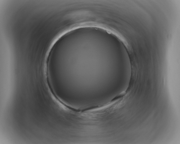 X0000113051527200909031322