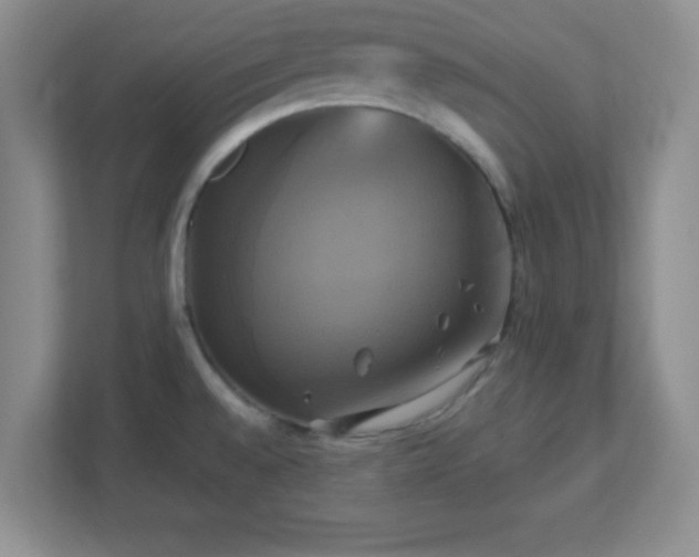 X0000113051528200909031322