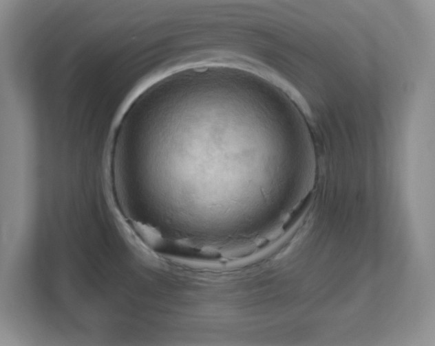 X0000113051530200909031322