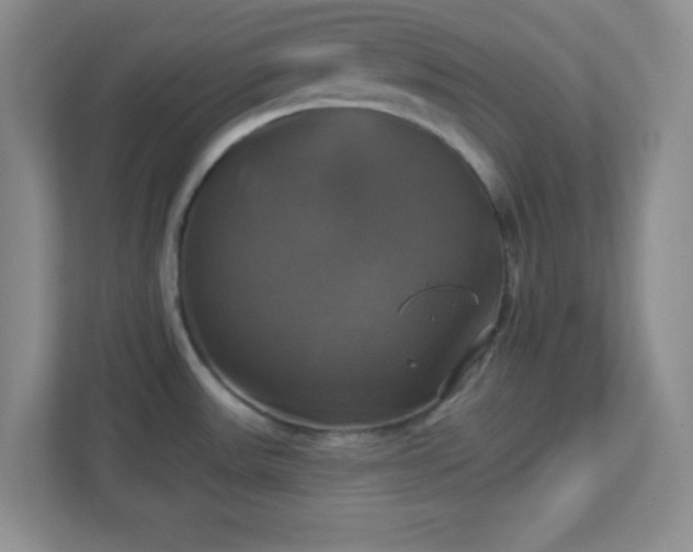 X0000113051531200909031322