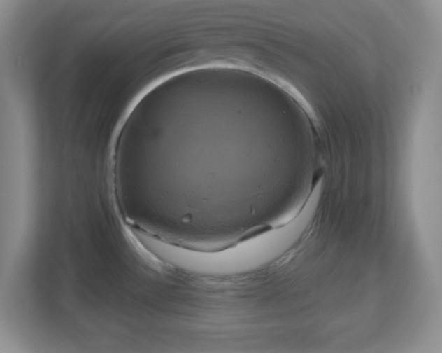 X0000113051532200909031322