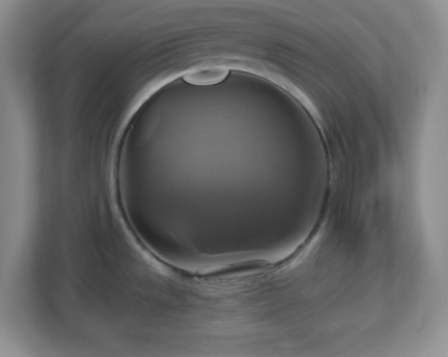 X0000113051533200909031322