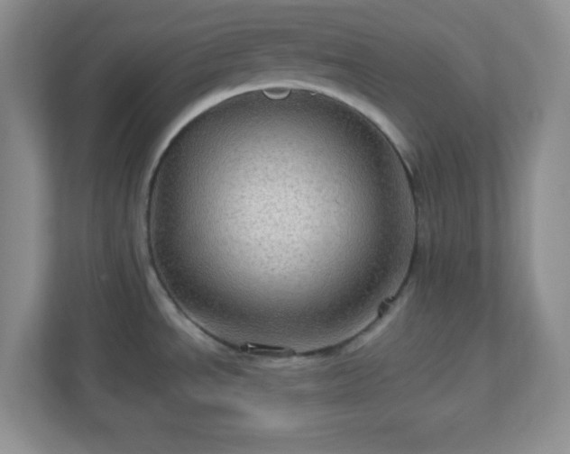 X0000113051534200909031322