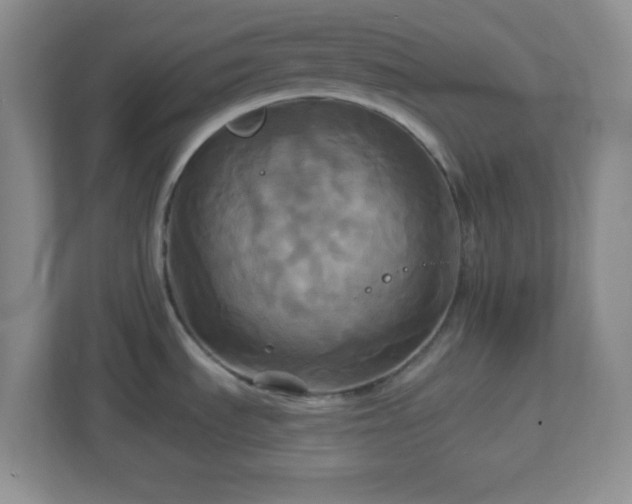 X0000113051535200909031322