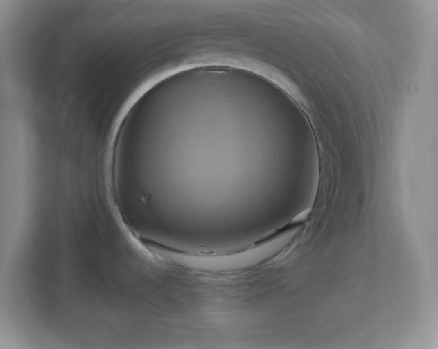 X0000113051536200909031322