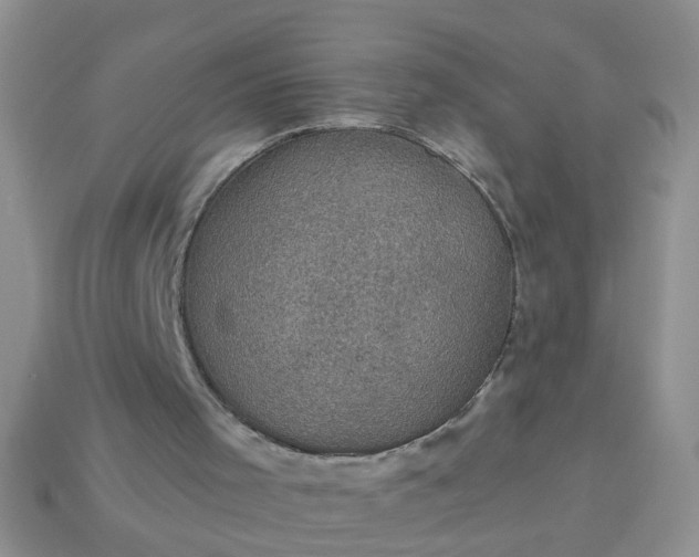 X0000113050001200909101949