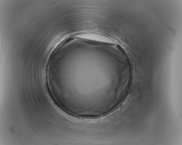 X0000113050002200909101949