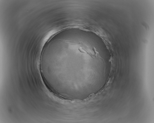 X0000113050003200909101949