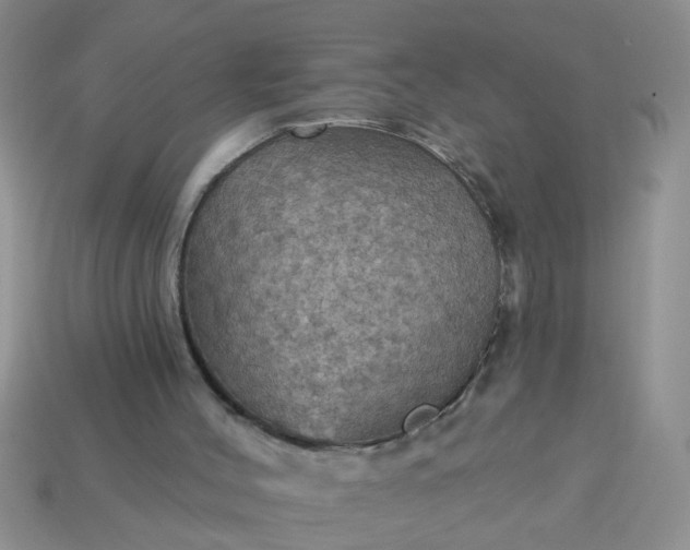 X0000113050004200909101949