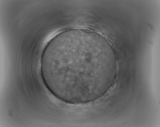 X0000113050005200909101949